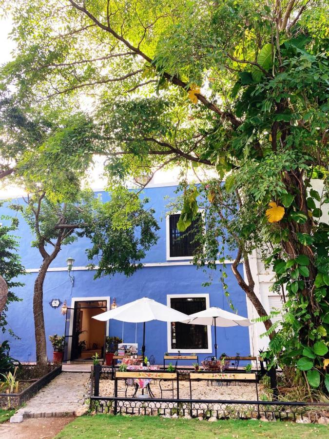 Luna Nueva Hotel-Boutique 메리다 외부 사진